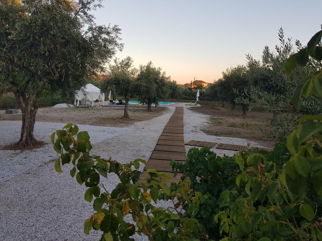 Oliveira Country House Figueira e Barros Kültér fotó